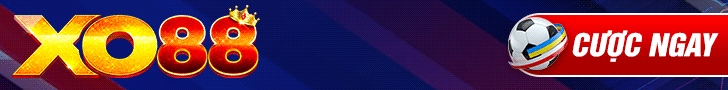Banner cá cược